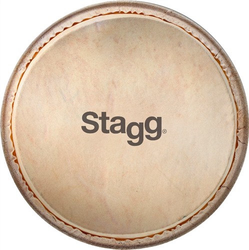 Stagg DPY-8 HEAD, 8" blána pro djembe DPY